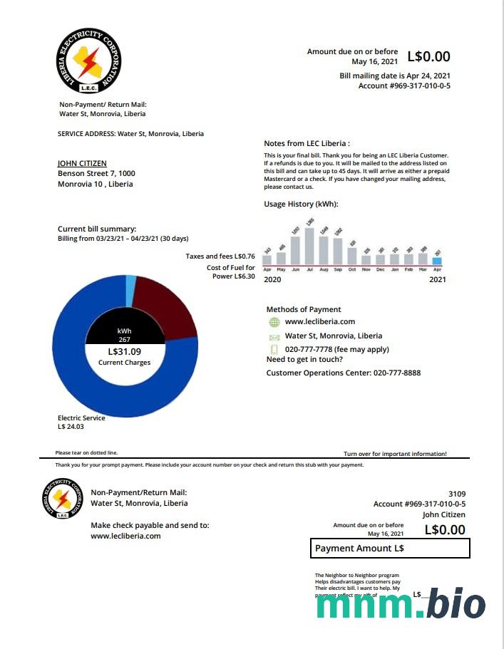Liberia Electricity Corporation rachunek za media szablon w formacie Word i PDF